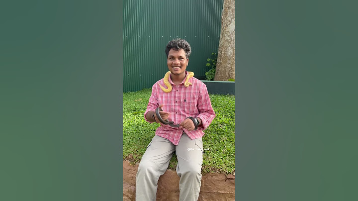 Vythiri Farm Wayanad Kerala #shorts #shortvideo #shortsfeed #travel #explore #food