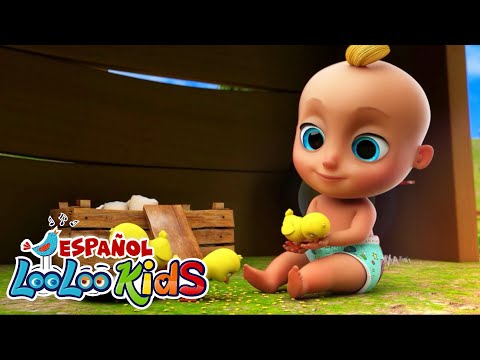 Los Pollitos Dicen Pío Pío 🐤LooLoo Kids Español - Canciones Infantiles Populares y Música para Niños