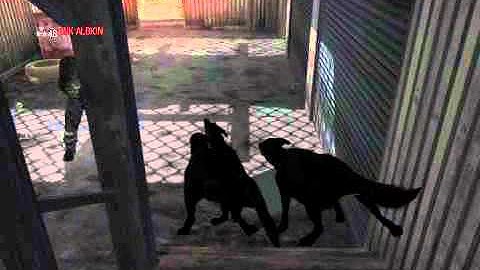 Black Ops New Dog Barrier Glitch