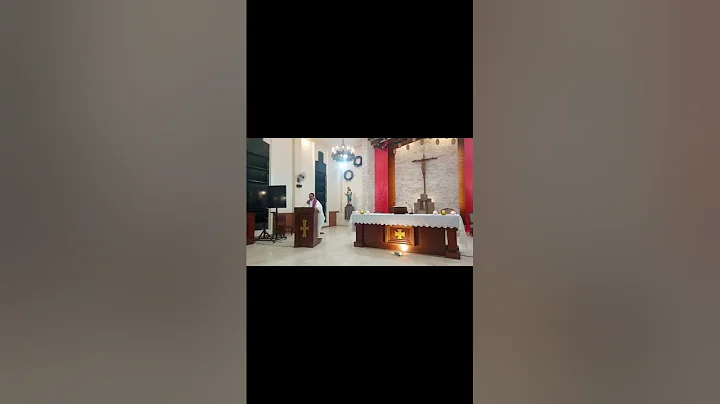 December 15, 2024 Homily-3rd Sunday of Advent (Gaudete Sunday)