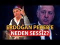 ERDOĞAN PEKER'E NEDEN SESSİZ ? ERDOĞAN AKP'Yİ NE SANIYOR ?