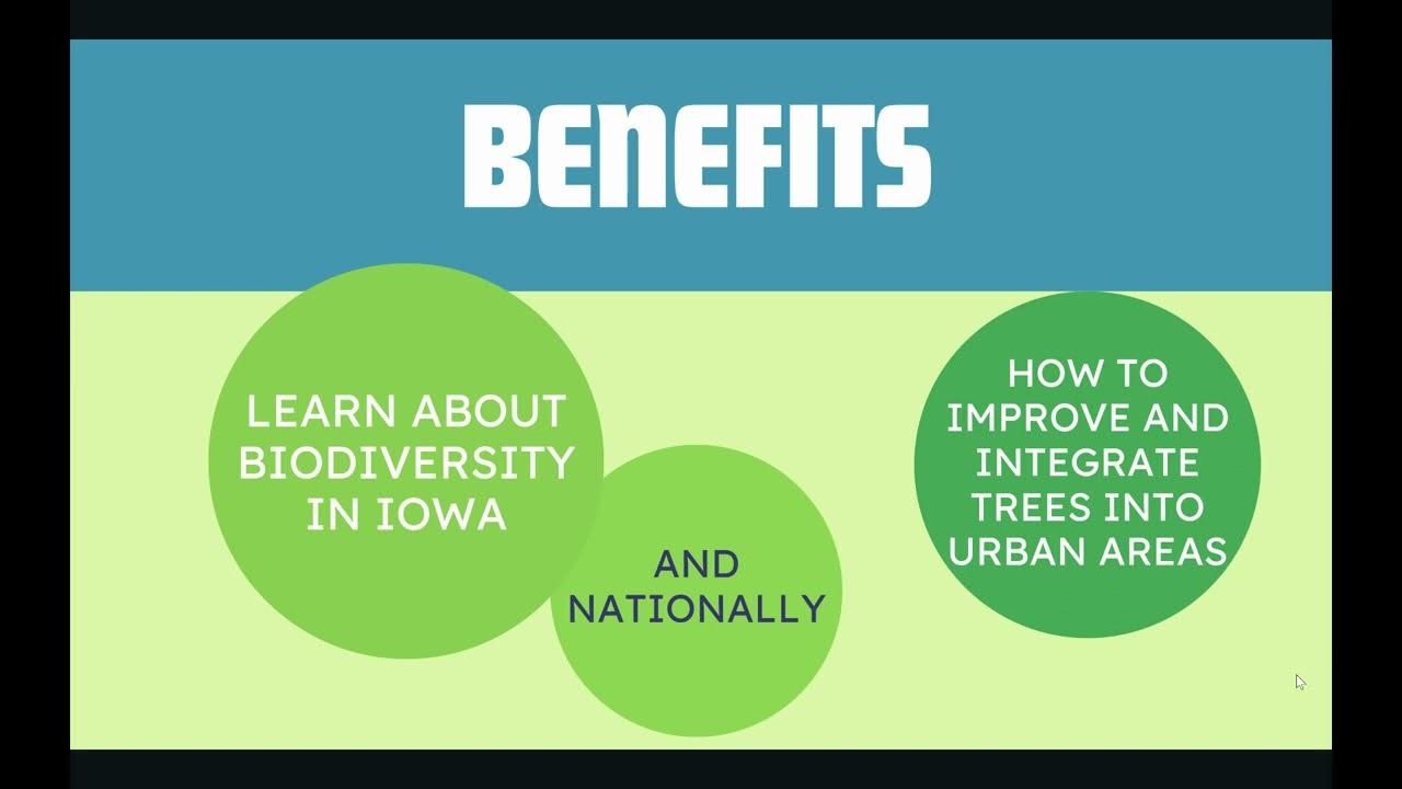 Data Science Final Project YouTube data-science-final-project-youtube