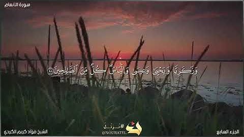تلاوة خاشعة لما تيسر من سورة الأنعام بصوت القارئ فؤاد كريم الكردي
