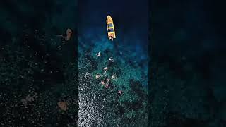 Mutiara Cruises Luxury Phinisi In Indonesia If You Looking For Freedom