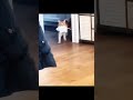 #phonk #cats #cat #catshorts #catsofyoutube #cute #cutecat #edit
