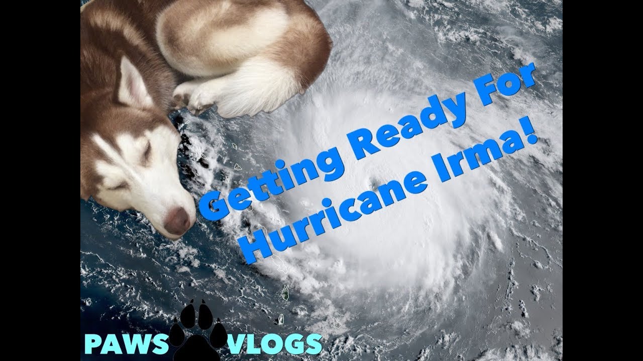 Getting Ready for Hurricane Irma! - YouTube