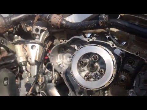 Video: Apakah Honda 300ex memiliki kopling?