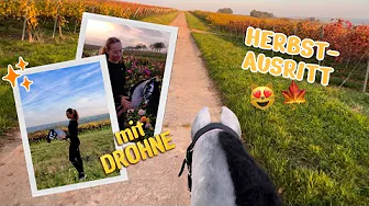 Herbstausritt mit Hobbyhorse 🍁🐴| _hobbyhorsing_de