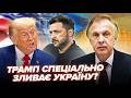 Ось що СТАЛО ЯСНО після перемовин! ОГРИЗКО назвав ЄДИНИЙ СЦЕНАРІЙ перемоги України. Послухайте
