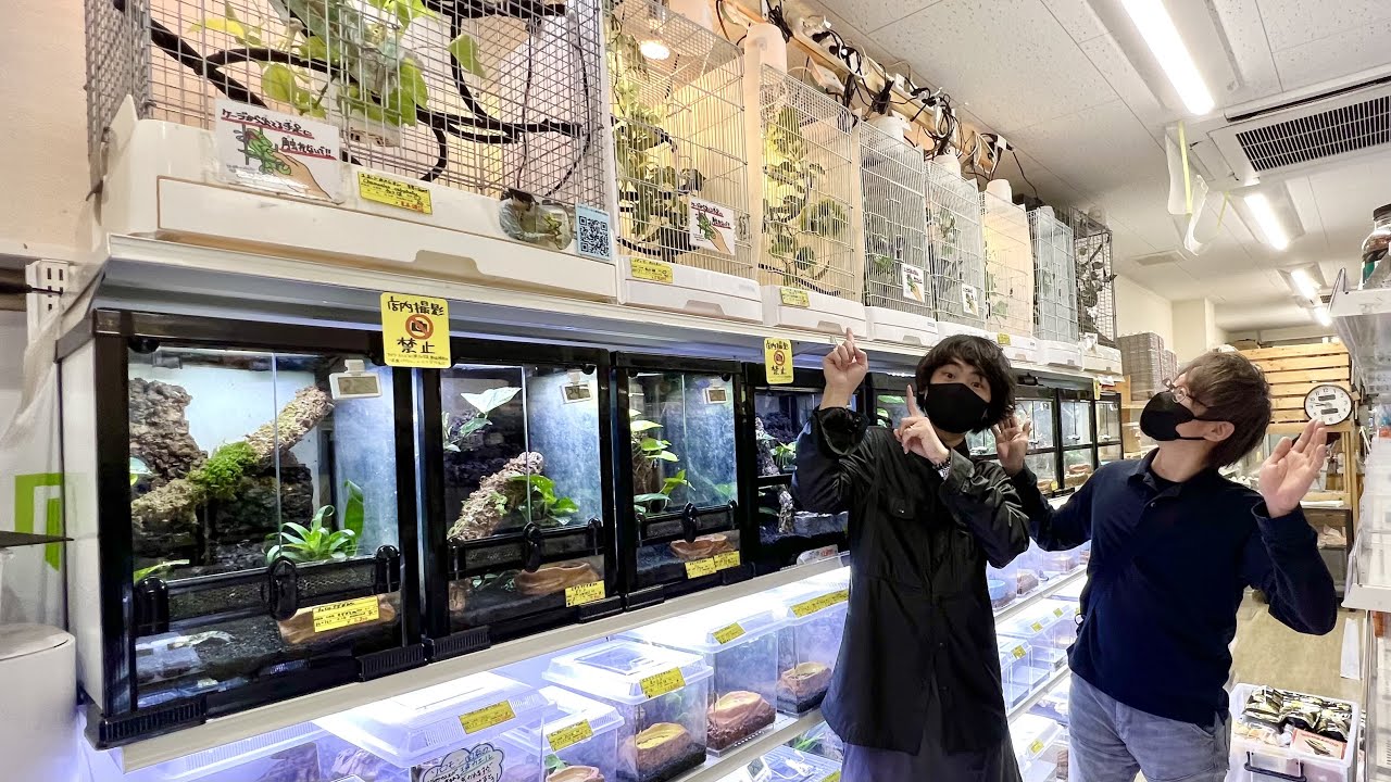日本最大の爬虫類ショップのレイアウトが綺麗すぎる！