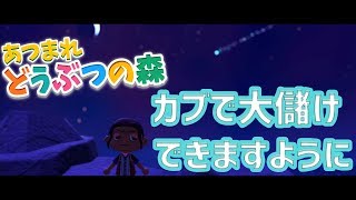 【あつまれどうぶつの森】全財産の行方はどうなる！？【ベルモンド・バンデラス/にじさんじ】