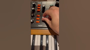 Behringer PolyD Synthesizer Sound Demo 🎹 #musicproducer #synthesizer #behringer #synth