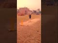 good shot #hotshots #cricket