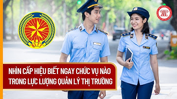 Nhìn Cấp Hiệu Biết Ngay Chức Vụ Nào Trong Lực Lượng Quản Lý Thị Trường | THƯ VIỆN PHÁP LUẬT