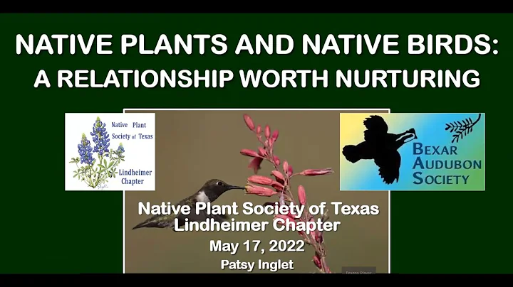 Native Plants and Native Birds: A Relationship Worth Nurturing