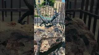 Download Lagu #jurassicworld #jurassicworlddominion in #malta #jurassicpark #family DROMAEOSAURIDAE #VELOCIRAPTOR MP3