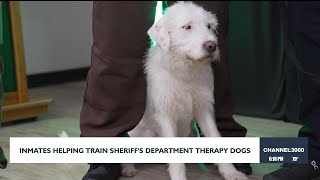 Inmates helping train sheriff’s department therapy dogs