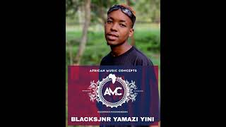 BlacksJnr Yamazi Yini - Glitch