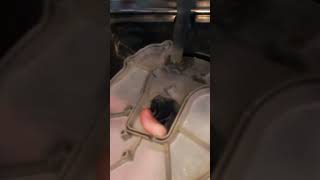 dishwasher cleaning #howto #diy #cleaning #kitchen #tutorial