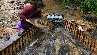 [TIMELAPSE] -- Jackpot Trap Catch! DIY PVC Pipe & Bamboo Trap Catches 15kg Fresh Fish!