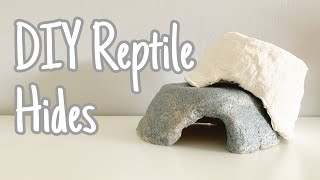 DIY Reptile Hides | 2 easy ways!