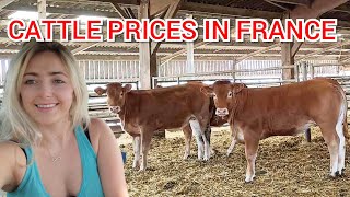 CATTLE PRICES IN FRANCE !!!!