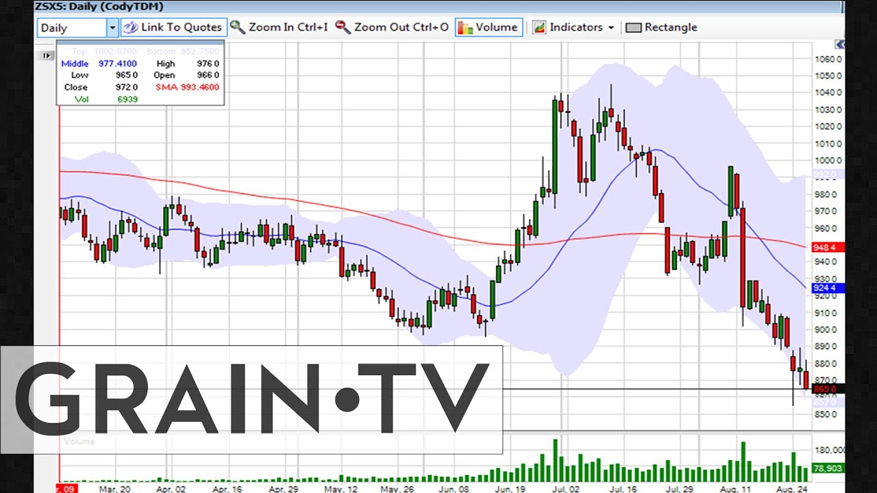 More Weakness in Chinese Demand