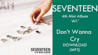 SEVENTEEN - Don’t Wanna Cry (울고 싶지 않아 )(MP3)+DOWNLOAD