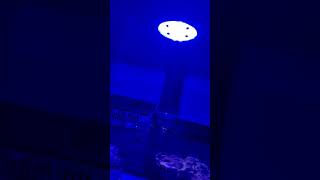 mp10 noise