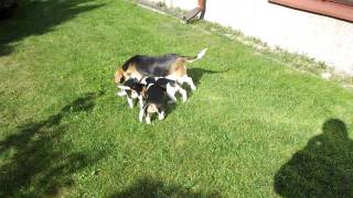 DSCF0453.AVI