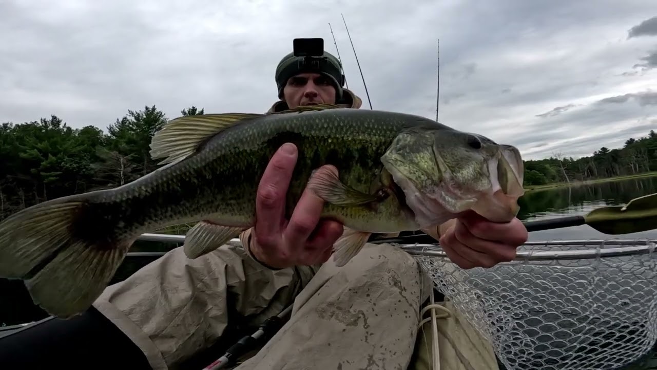 GIANT BASS CRUSH JIGS & DROPSHOTS in September! (Kayak Bass Fishing Madness)