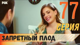 Запретный плод 77 серия русская озвучка турецкий сериал (фрагмент №1)