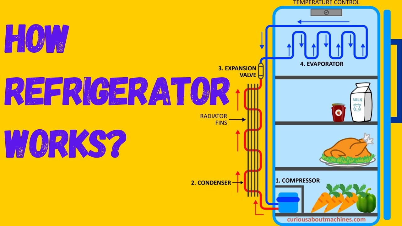 How Does a Refrigerator Work? | Explained Simply | English Story TV # ...