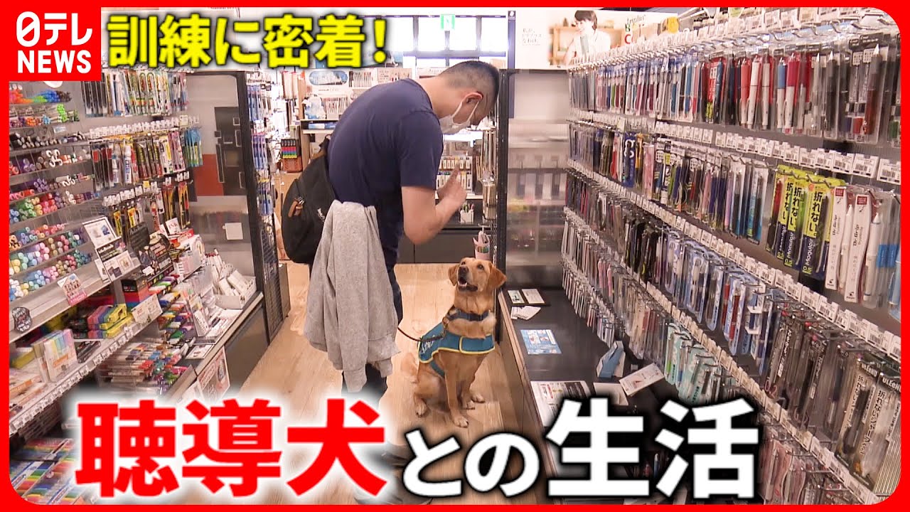 【密着取材】飼い主との絆… 