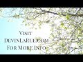 Upcoming Album by Devin LaRue - April 2018 Progress Update