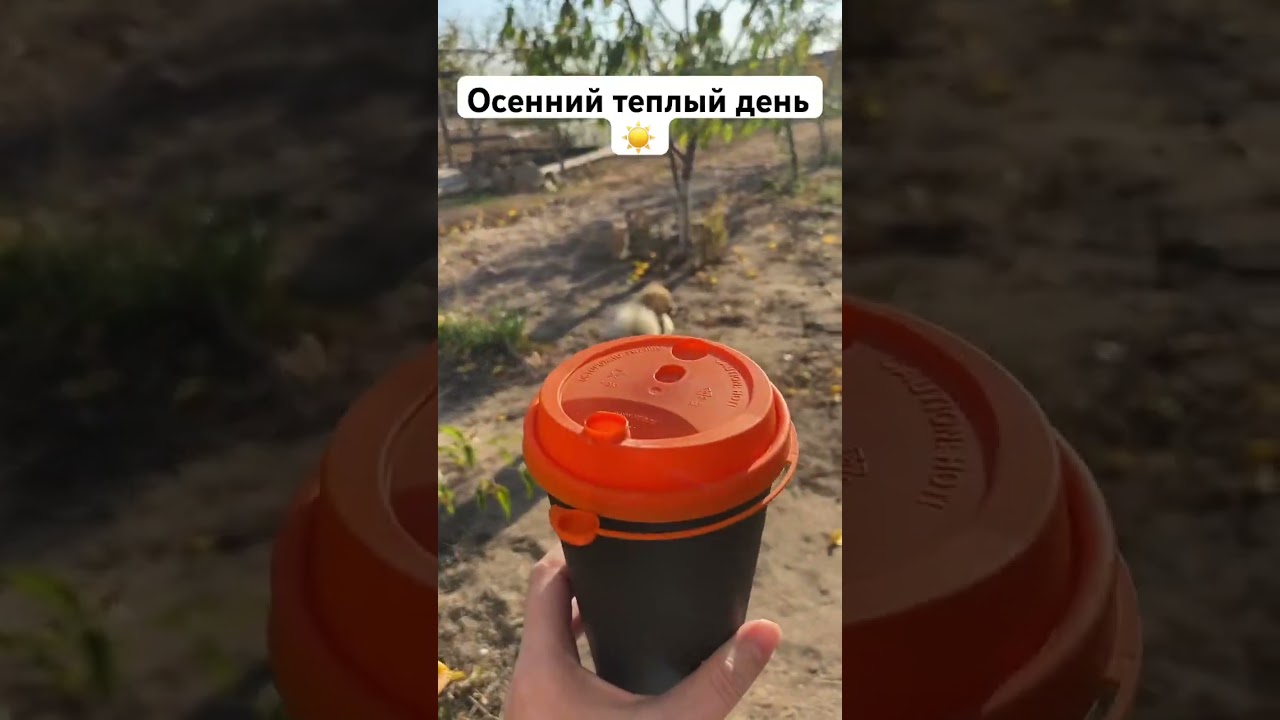 Наслаждаемся ☀️ 