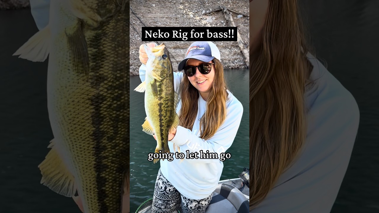 I love this setup for catching bass!! Have you ever tried it? #fishing #lure #shorts