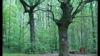 25 11 2025 E elsendo de Pola RetRadio