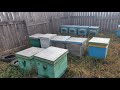 Осенний осмотр пчелосемей и выбраковка рамок