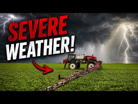 CROPS ARE DROWNING IN ILLINOIS…