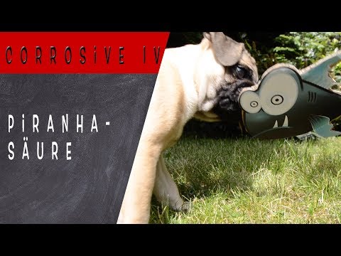 #10 Corrosive IV - Piranhasäure