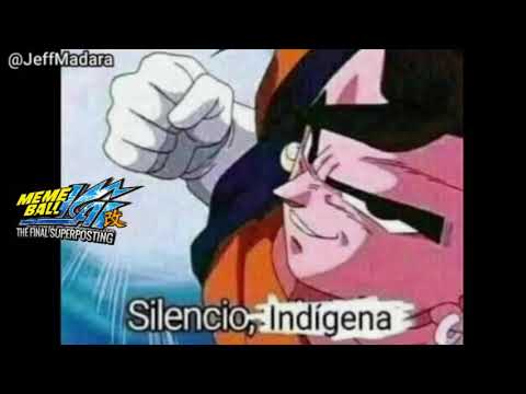 SILENCIO INDÍGENA