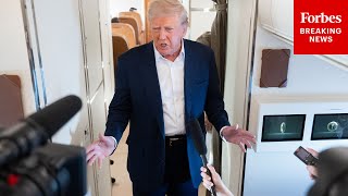 'Stupid Question': Trump Snaps At Reporter Being Pressed On 'Dolls' Comments