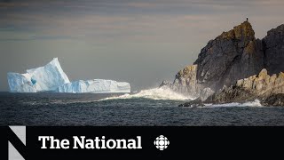 #TheMoment a giant iceberg wowed onlookers in Newfoundland screenshot 3