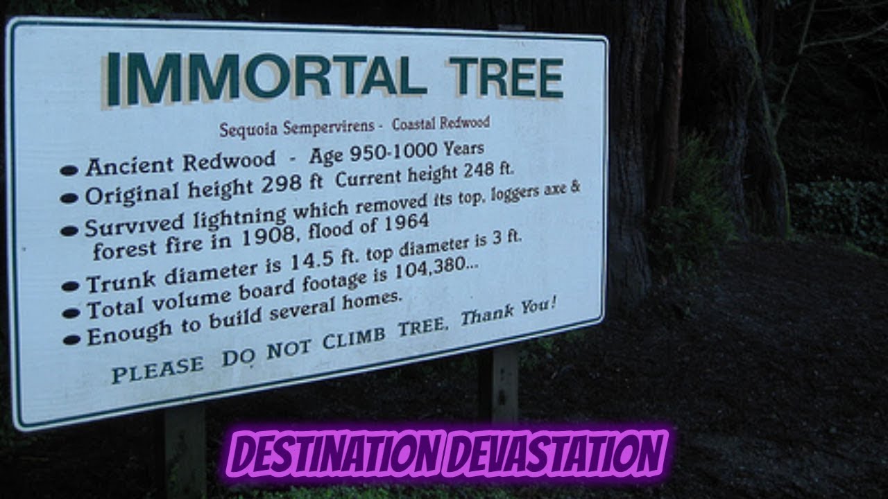 Source of immortality found in plants. Immortal life?