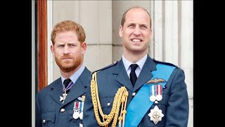 Prince William 'spitting mad' at Prince Harry comment in new TV appearance