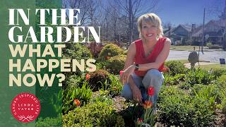 In The Garden: What Happens Now? | Linda Vater 🌿