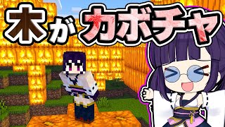 🍁【マイクラ】神シード？木がジャックオーランタンになる世界がラッキーすぎた！ハロウィン企画【ゆっくり実況/マインクラフト/Minecraft/まいくら】