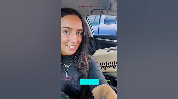 Watch the video about Funny Cats 2024 😹 funny cats compilation 😾 #mewmew Ep 5303