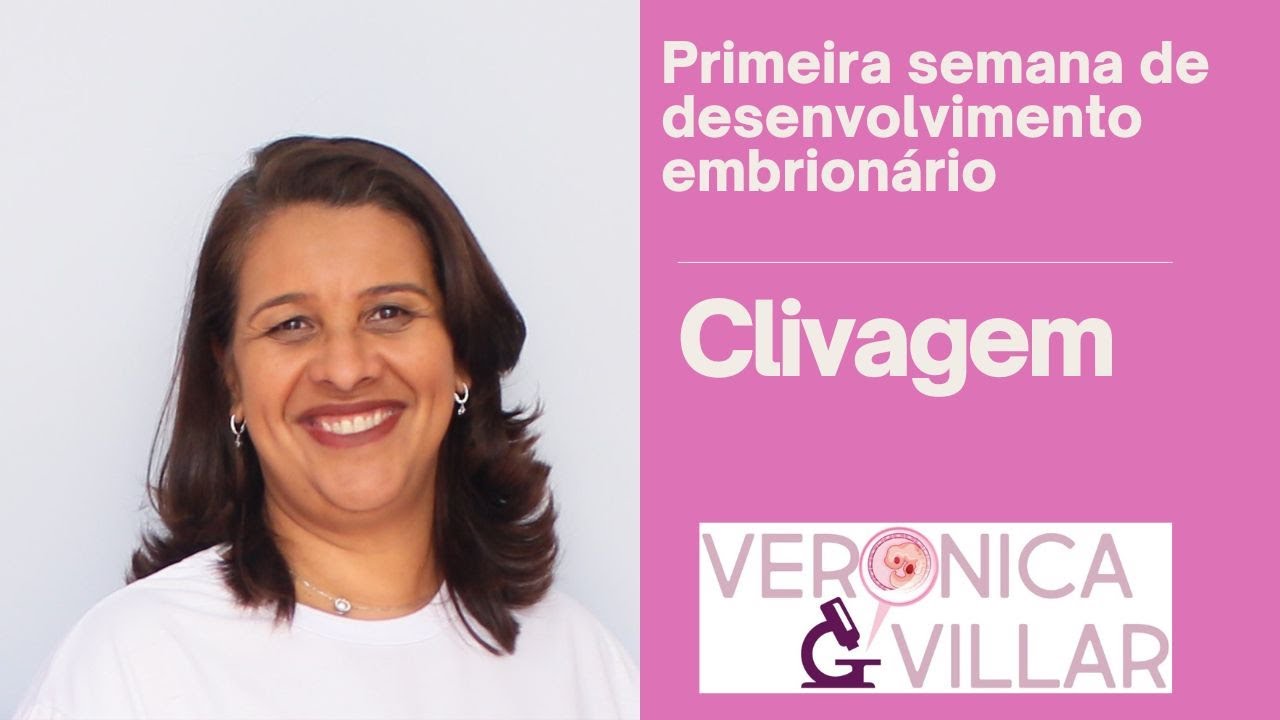Primeira semana de desenvolvimento embrionário. Clivagem